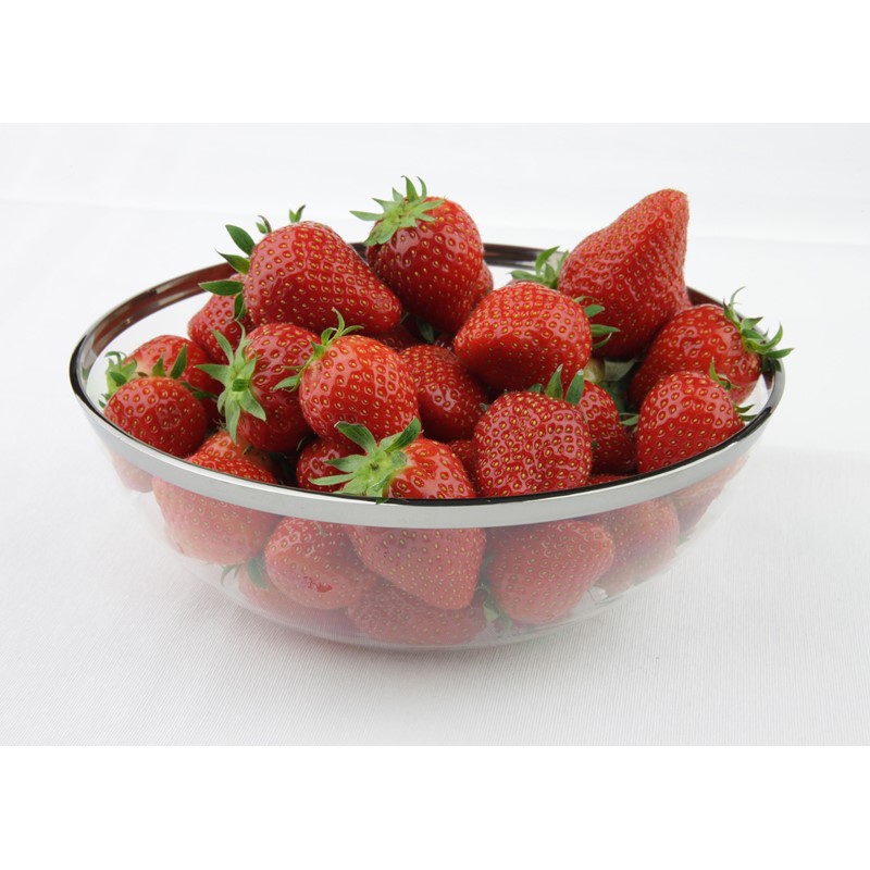 Saladier Mozaïk 1,5 L - 4 pces